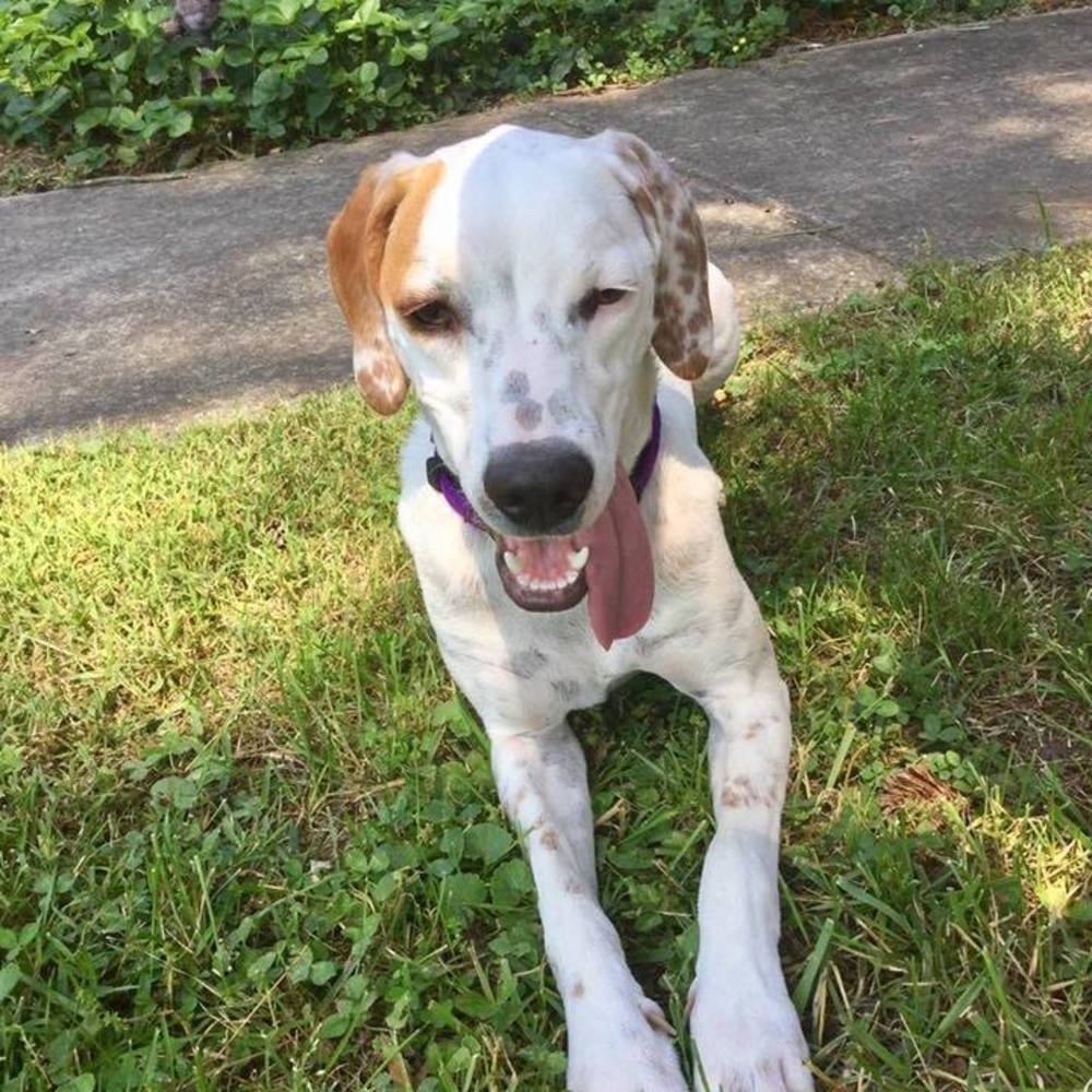 Meet your Posher, Janet